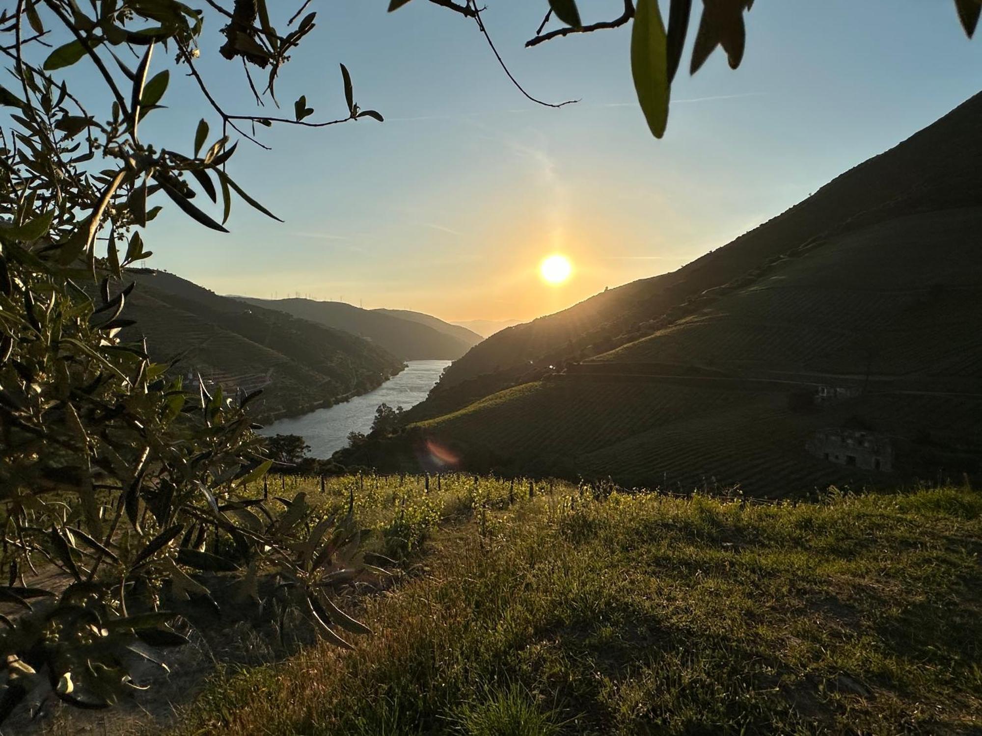 Pmdourovalley Peso da Régua Εξωτερικό φωτογραφία
